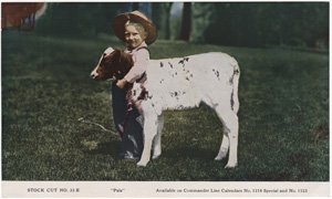 Vintage Calendar Art cows, cattle, livestock, farm life, etc.